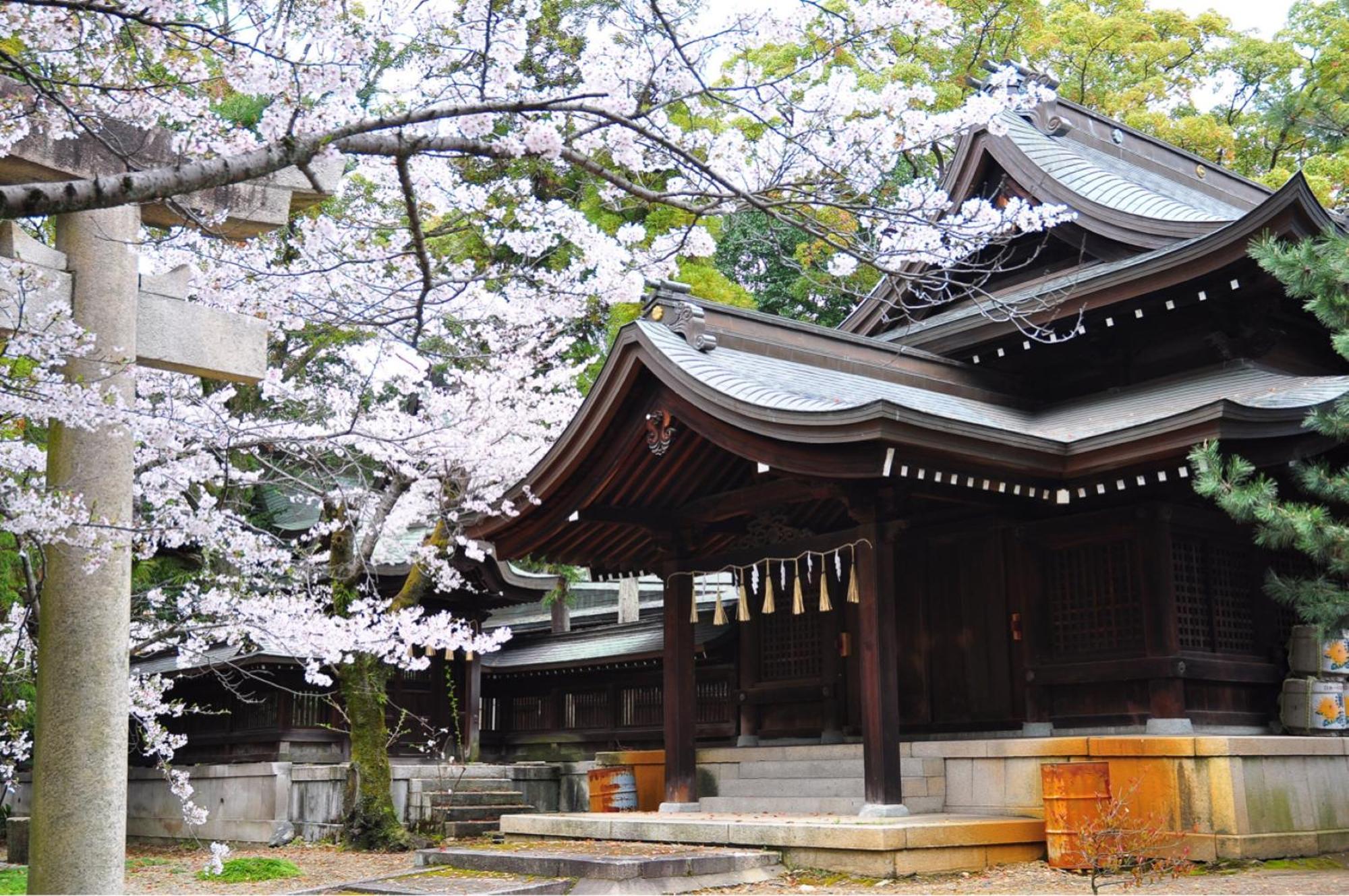 One Hostel Himeji Zewnętrze zdjęcie